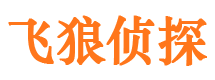 涪城市婚外情调查